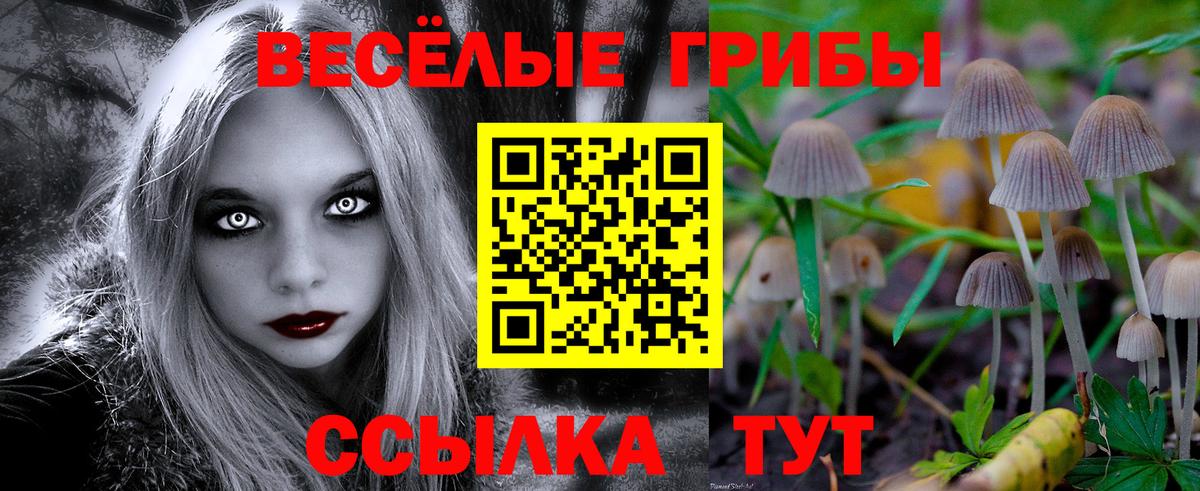 Елабуга  Галлюциногенные грибы мицелий  Вход с VPN 